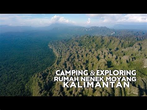 Camping Exploring : Menembus hutan belantara kalimantan - Tropical forest borneo - YouTube