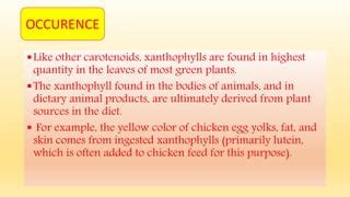 Xanthophyll ppt | PPT