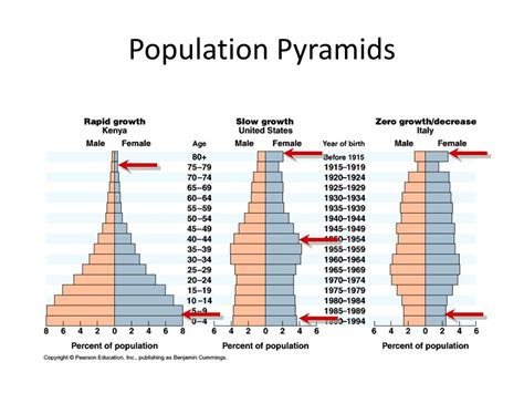 PPT - Understanding Population Pyramids PowerPoint Presentation, free ...