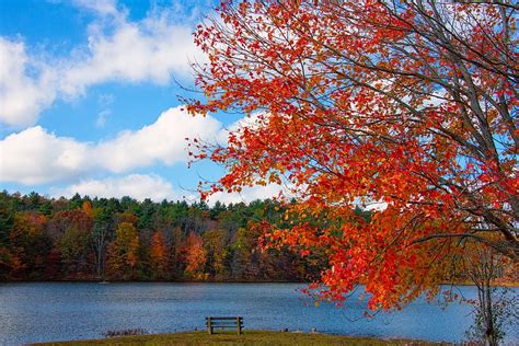 HD wallpaper: new england, foliage, lake, fall, nature, autumn, leaves ...