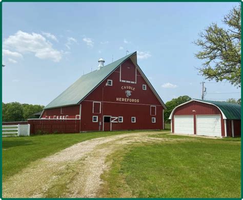 Faribault Co., MN - 49.36 Ac. m/l (190-0197-01)