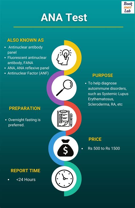 ANA Test: Purpose, Price, Procedure & Results [2024] • Bookmerilab