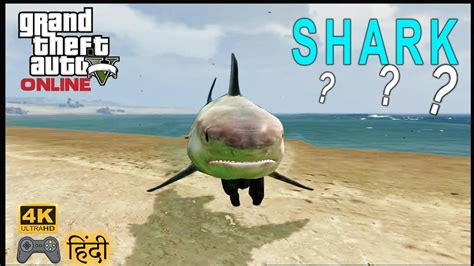 GTA 5: 🥺DRIVE this shark or eat this shark or sell THE SHARK WHAT TO DO WITH THIS ??? # ...