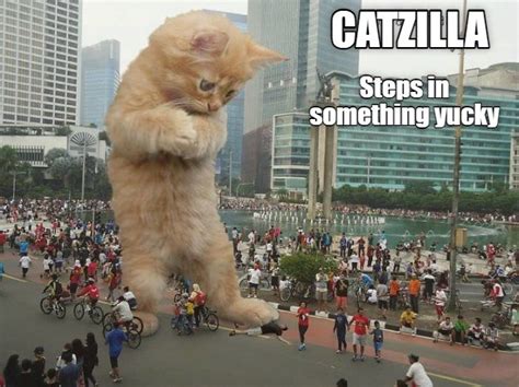 Very Yucky - Lolcats - lol | cat memes | funny cats | funny cat pictures with words on them ...