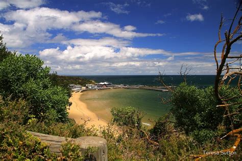 "Half Moon Bay Black Rock Victoria Australia" by bayside2 | Redbubble