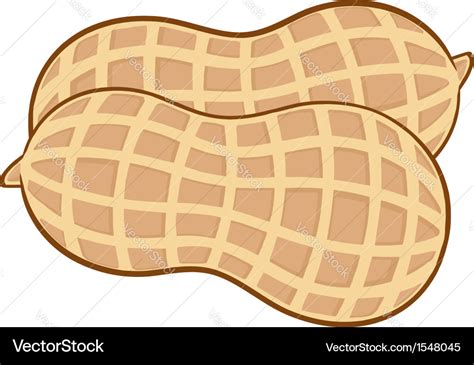 Peanut cartoon Royalty Free Vector Image - VectorStock