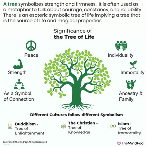 Tree of Life Meaning : What is it and its Symbolism | TheMindFool