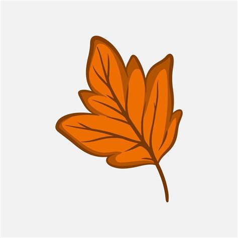 hand drawn autumn orange leaf clip art 13973902 Vector Art at Vecteezy