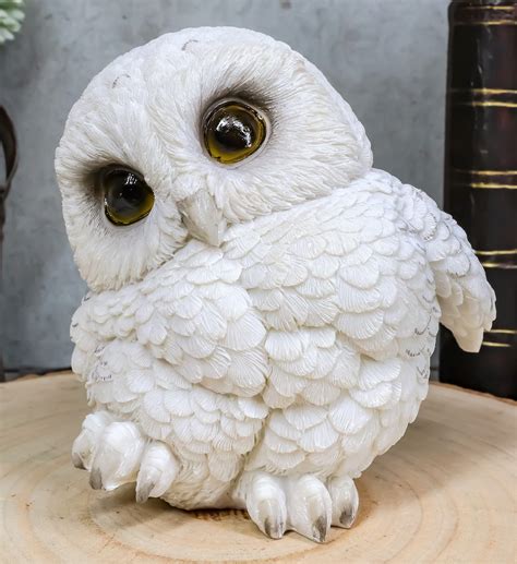 Baby Owl