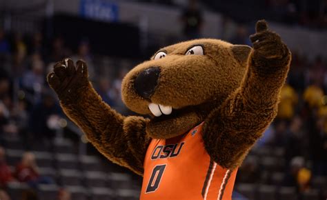 Oregon State Basketball: Beavers season review