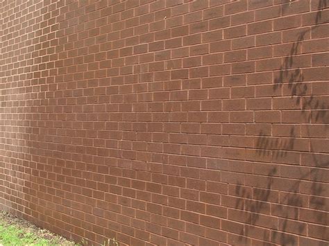 Elephant Snot - Brick Wall - School | Graffiti Solutions