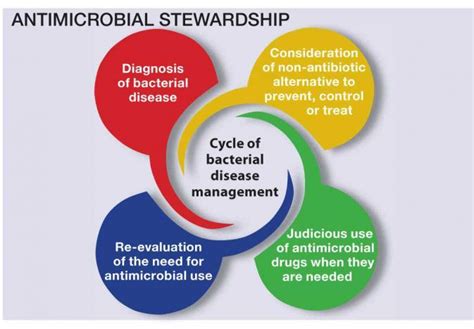 SPS Pharmacists Help Create Facility Antibiotic Stewardship Programs ...