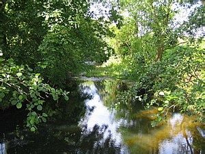 River Colne, Hertfordshire - Wikishire