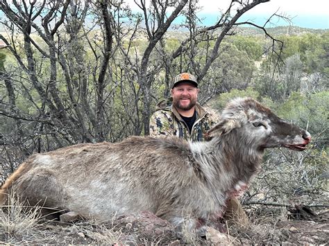 New Mexico Hunter Harvests Rare Piebald Elk