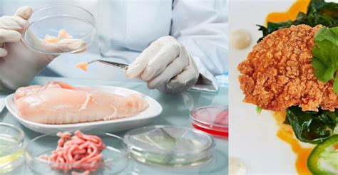 Lab Grown Chicken Is Now A Thing And You're Probably Not Going To Like It