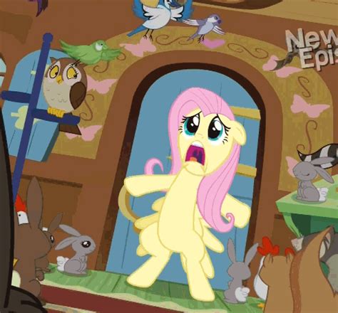 #485748 - safe, fluttershy, pony, screencap, open mouth, edit, animated, eyes closed, edited ...