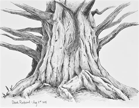 5 Tree Sketching tips — Alan Li