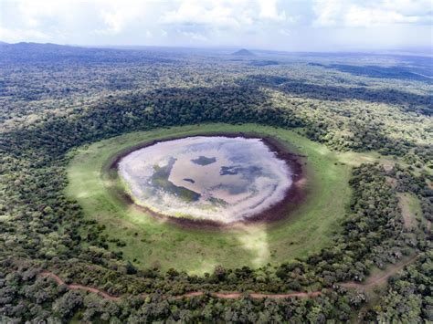 Mount Marsabit: The King's Domain - Paukwa