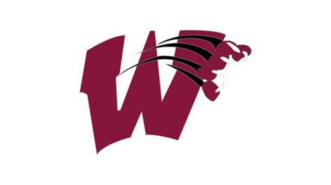 Wakefield promotes Sink to head coach