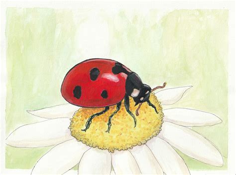 Ladybug watercolor by Springetter on Newgrounds