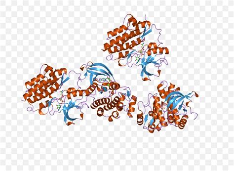 ABL2 Philadelphia Chromosome Tyrosine Kinase Bcr-Abl Tyrosine-kinase ...