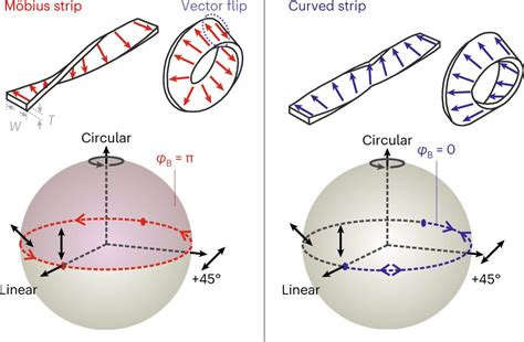 Insights into optical resonances determined by the topology of the ...