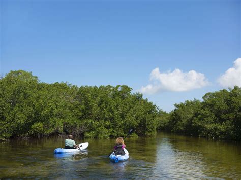 Paddling Guide: How To Kayak and SUP on The Beaches of Fort Myers & Sanibel