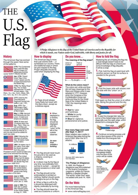 History of the United States Flag • History Infographics