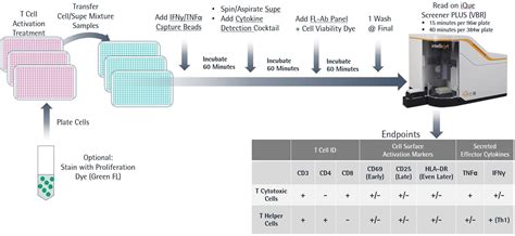 T Cell Activation Cell and Cytokine Profiling Kit