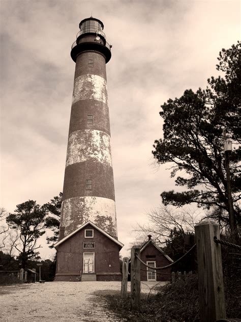 Assateague Island lighthouse | Island lighthouse, Lighthouse, Lighthouse lighting