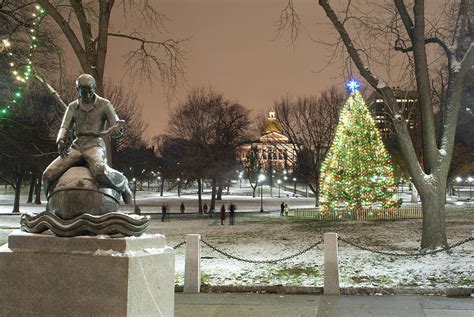 Boston Common Christmas Lights