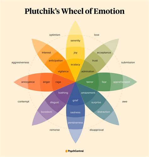 Emotion Wheel: What It Is and How to Use It