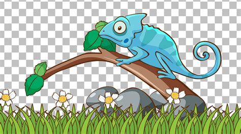 Chameleon Vector Art, Icons, and Graphics for Free Download