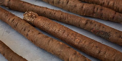 Salsify Recipes - Great British Chefs