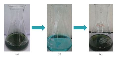 Visual observation of synthesis of copper nanoparticles. (a) Leaf ...