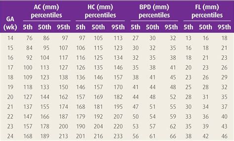 Ultrasound Fetal Measurement Chart