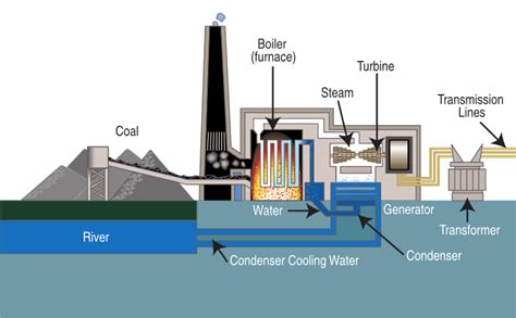 Coal | Geoscience Australia