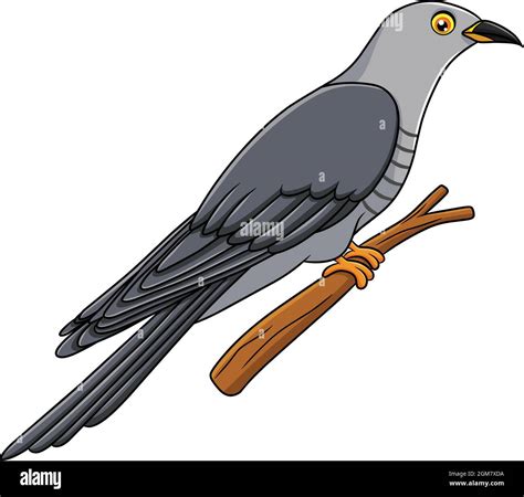 Cute Cuckoo bird cartoon vector illustration Stock Vector Image & Art ...