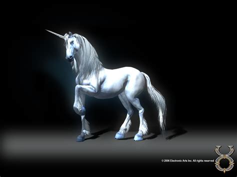 Unicorn Wallpaper - Unicorns Wallpaper (5306182) - Fanpop