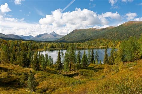 Crystal pond with trees in Ural ... | Stock image | Colourbox