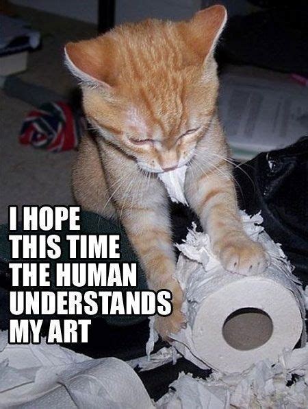 All About Cats And The Precious Toilet Paper These Days (Cat Memes ...