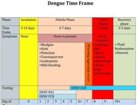 Three distinct phases of dengue infection have been described:... | Download Scientific Diagram