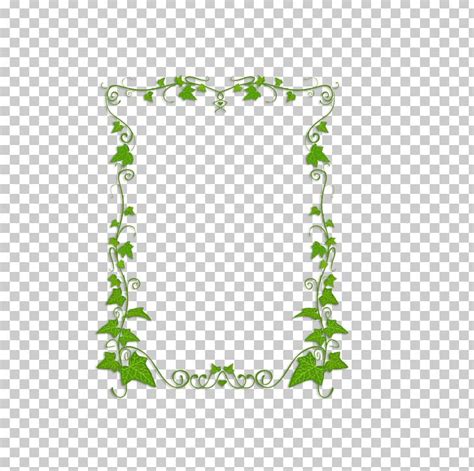 Common Ivy Plant Vine PNG, Clipart, Border, Border Frame, Border Vector ...