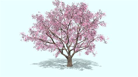 3D Cherry Blossom Tree Art & Collectibles Sculpture jan-takayama.com