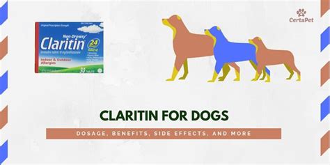 Claritin for Dogs: Dosage, Benefits, Side Effects, and More! | Claritin, Dog allergies, Dog ...