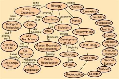 This is a beginning list of some topics in biology. | Biology lessons ...