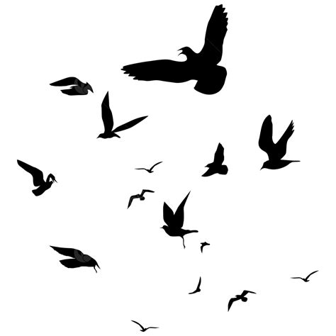 Flying Birds Vector Png