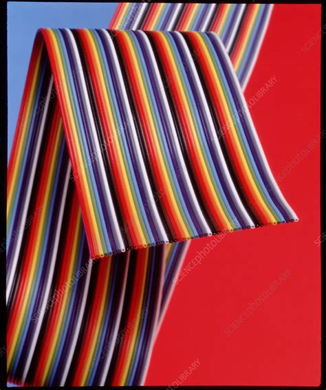 Close-up of computer data ribbon wire - Stock Image - T355/0202 - Science Photo Library