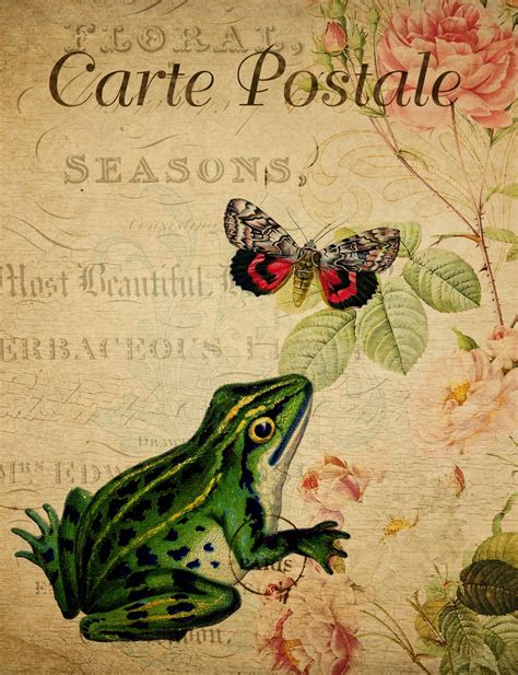 Frog Vintage Floral Postcard Free Stock Photo - Public Domain Pictures