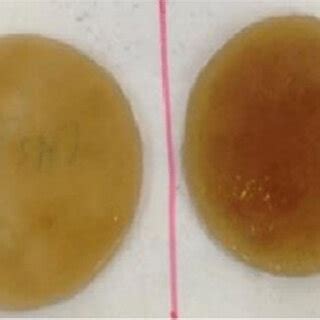 Acetobacter xylinum growth curve at different cultivation mode of ...